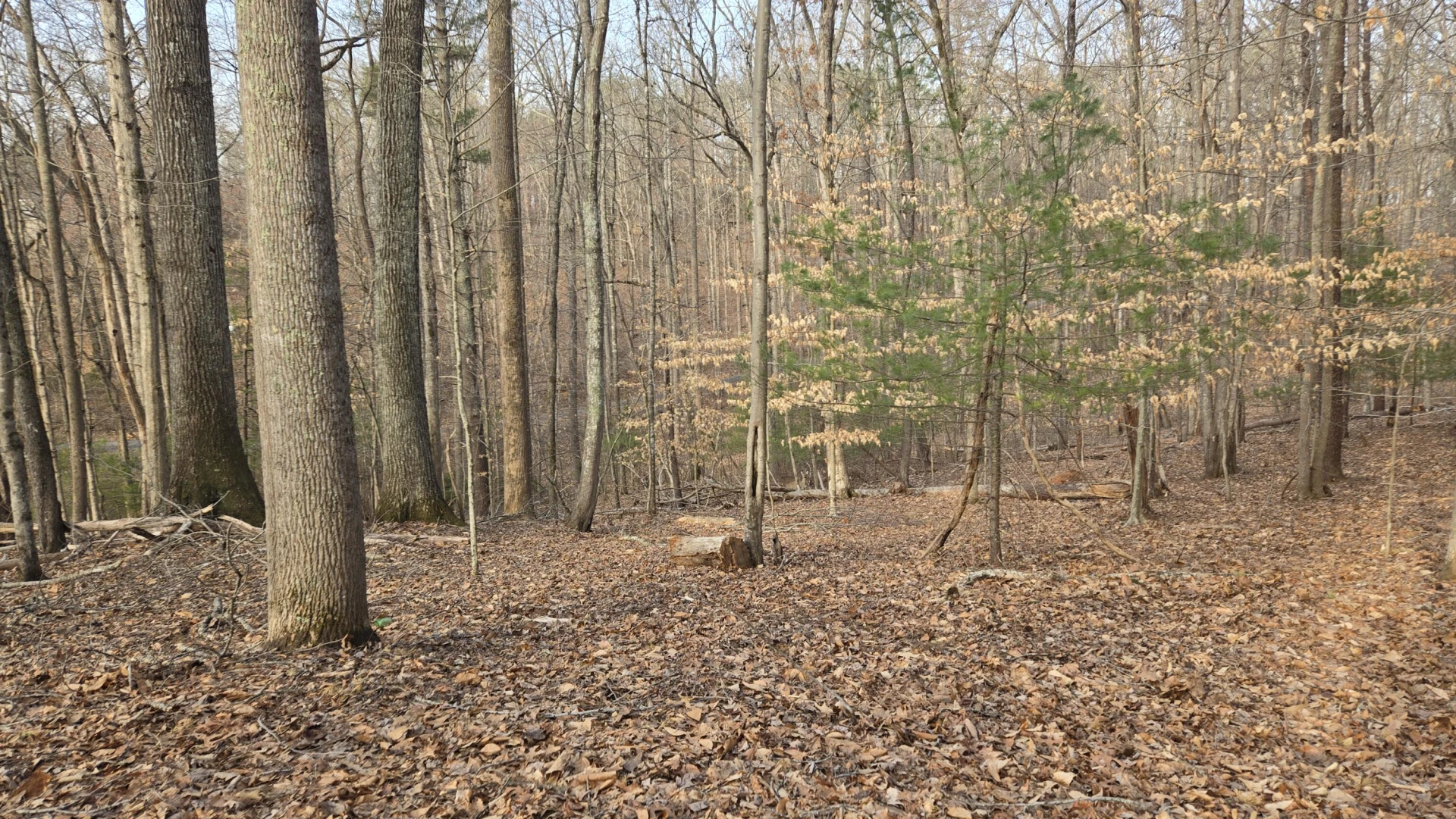 Lot 60 Cherrywood LN