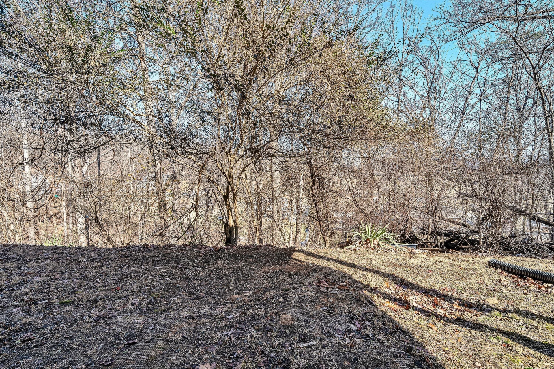 182 Dogwood LN - Photo 37