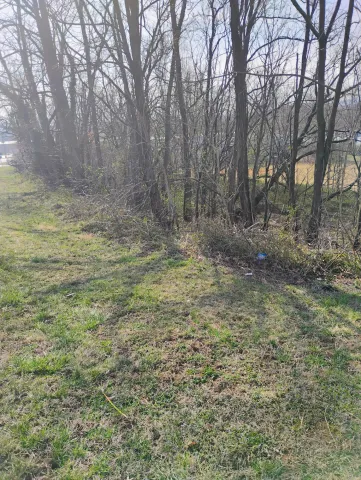 0 Dogwood LN, Troutville, VA, 24175