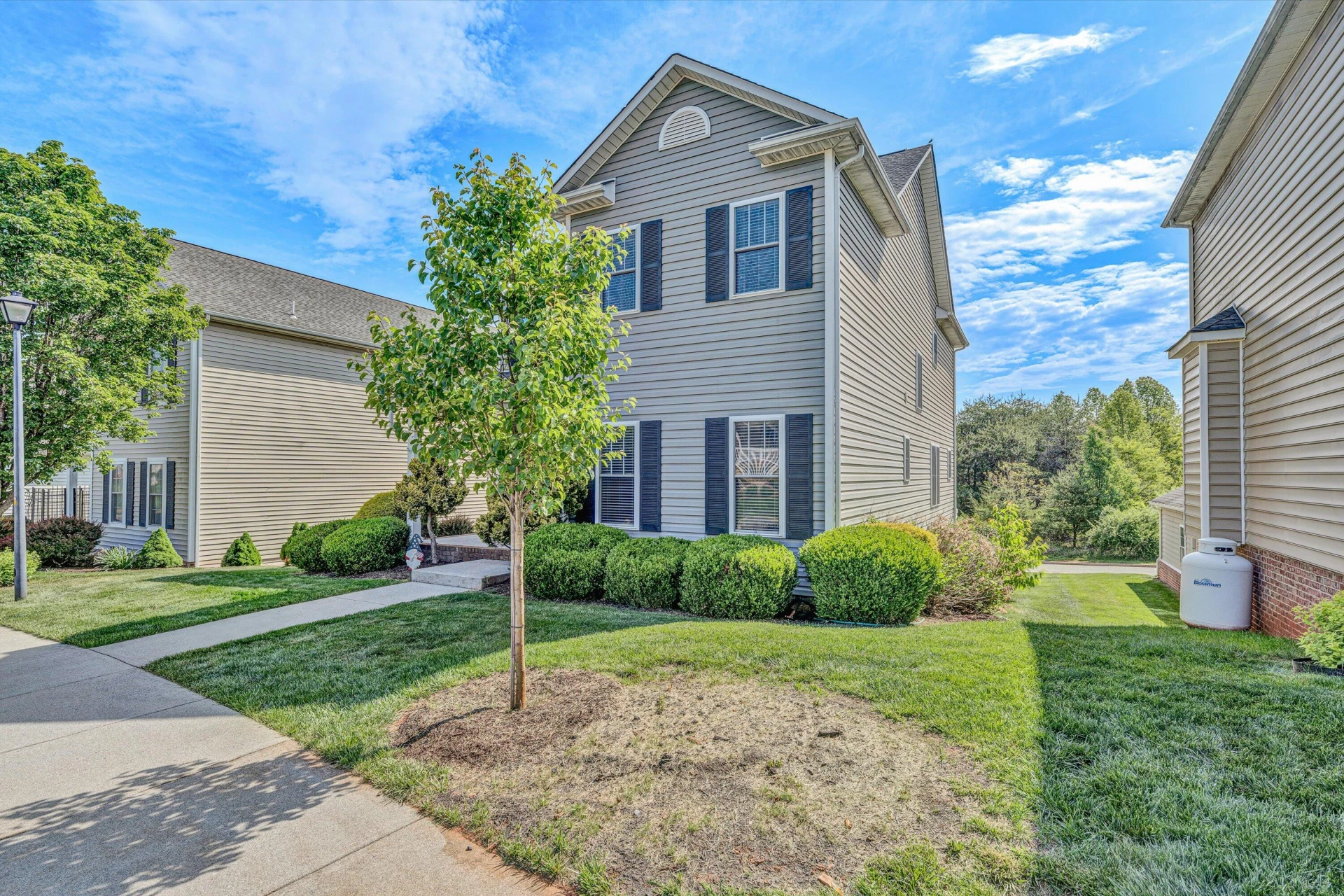 1145 Cranberry CT - Photo 3