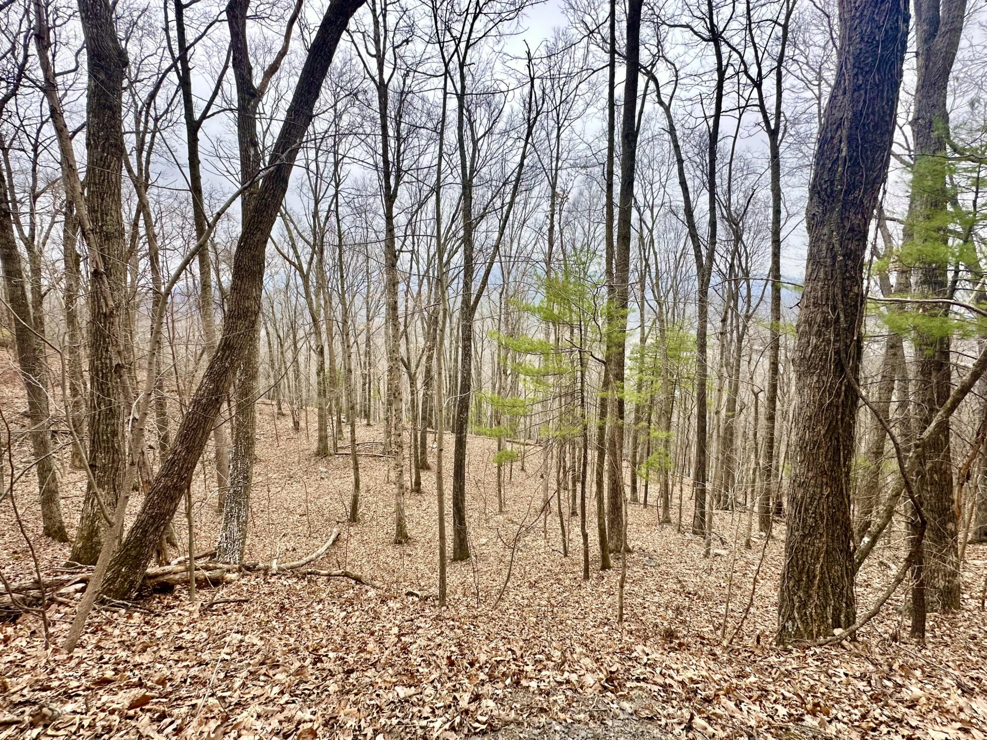 0 Taylor LN - Photo 2