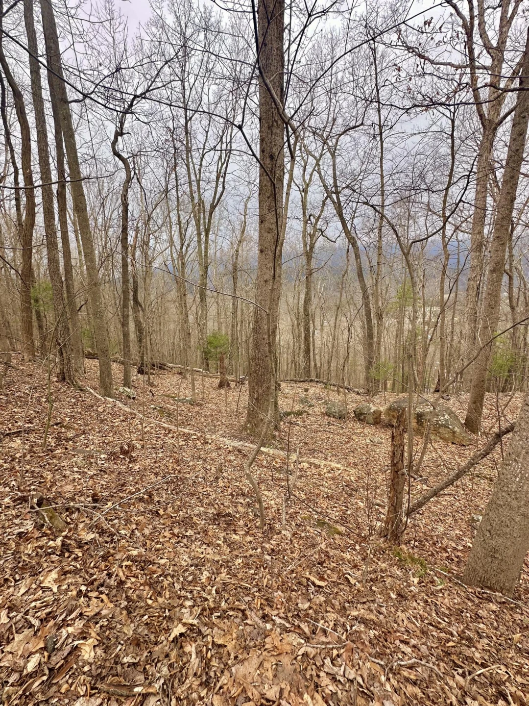 0 Taylor LN - Photo 3
