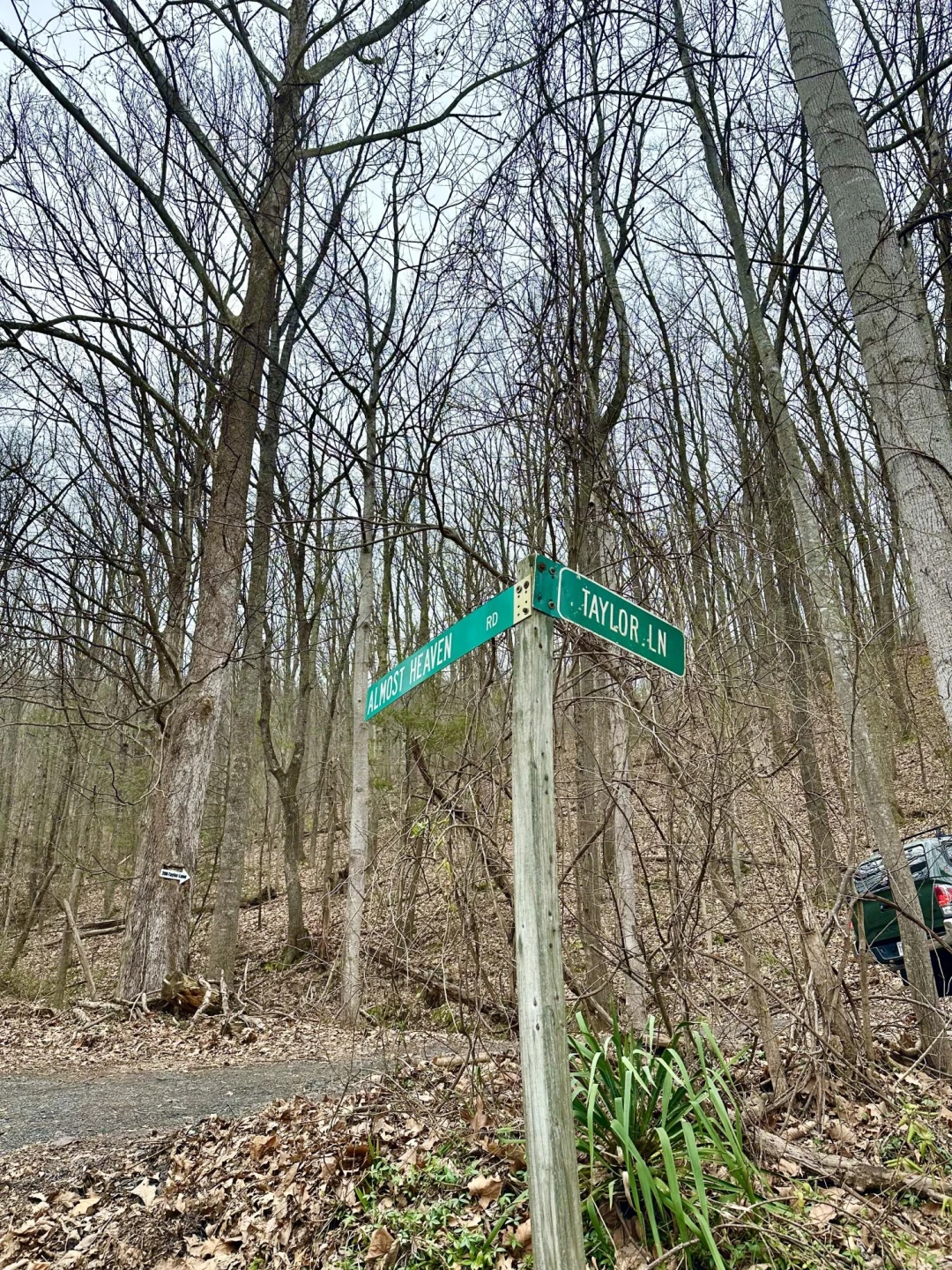 0 Taylor LN - Photo 5