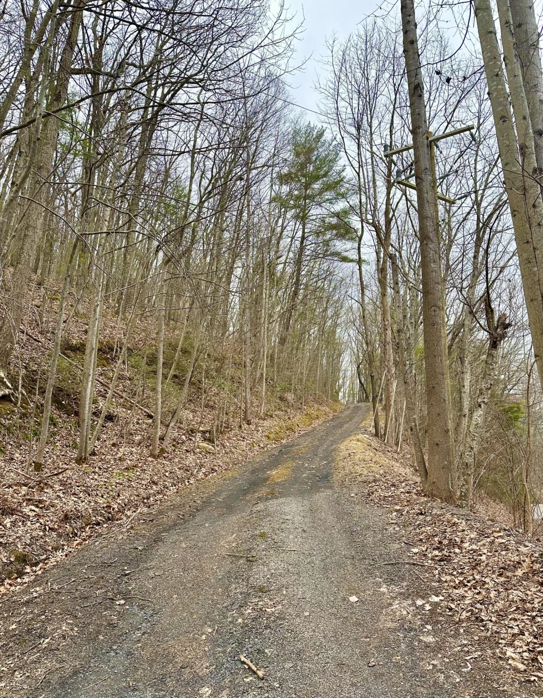 0 Taylor LN - Photo 6