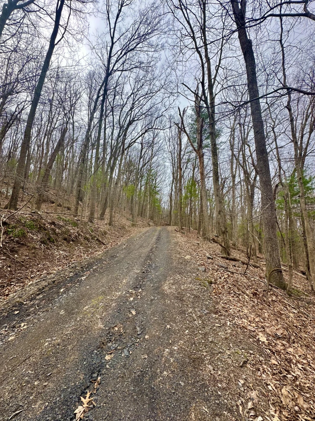 0 Taylor LN - Photo 7
