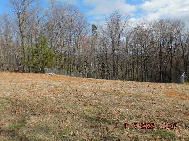 1168 WILFORD HOLLOW RD - Photo 3