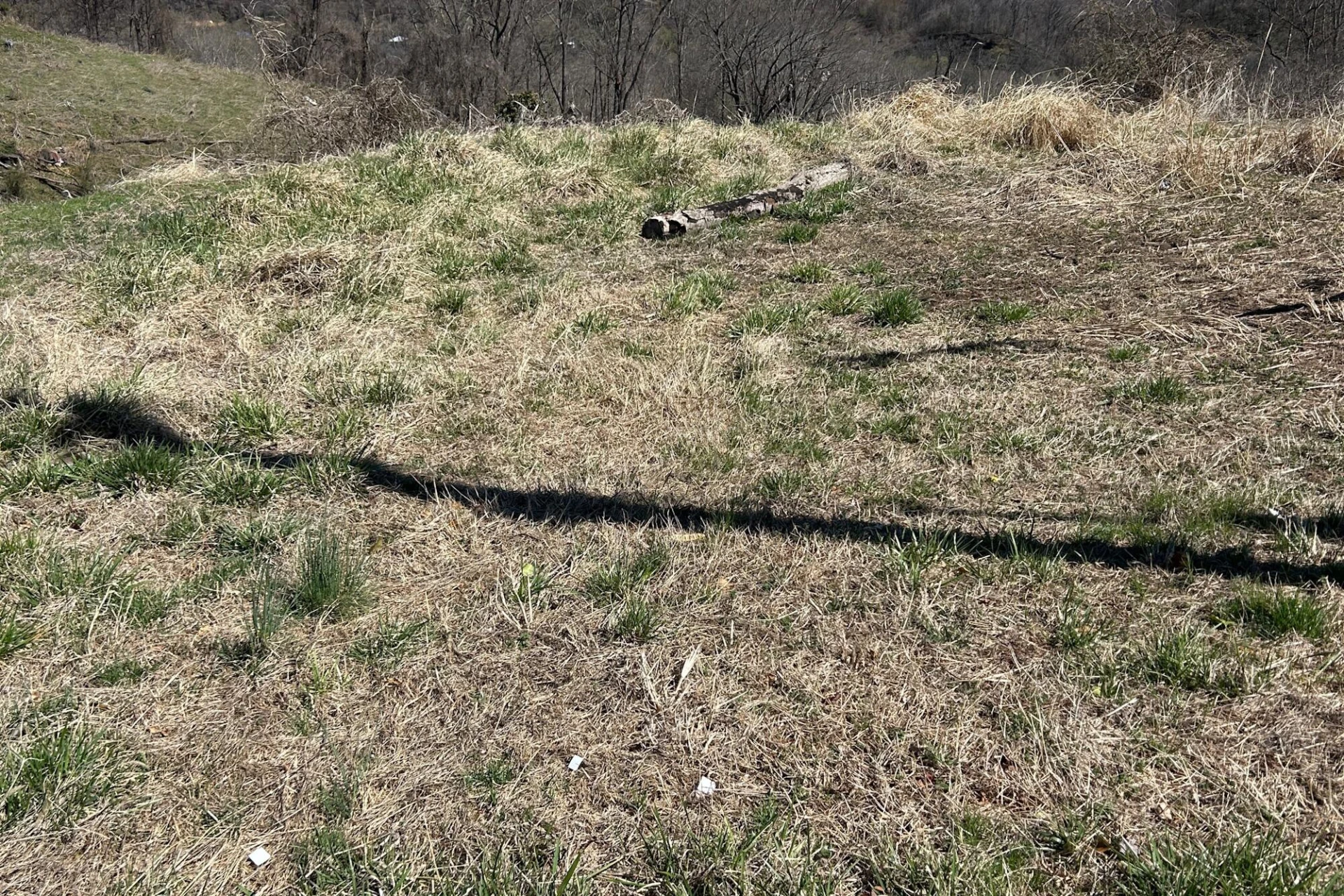 115 I ST - Photo 5