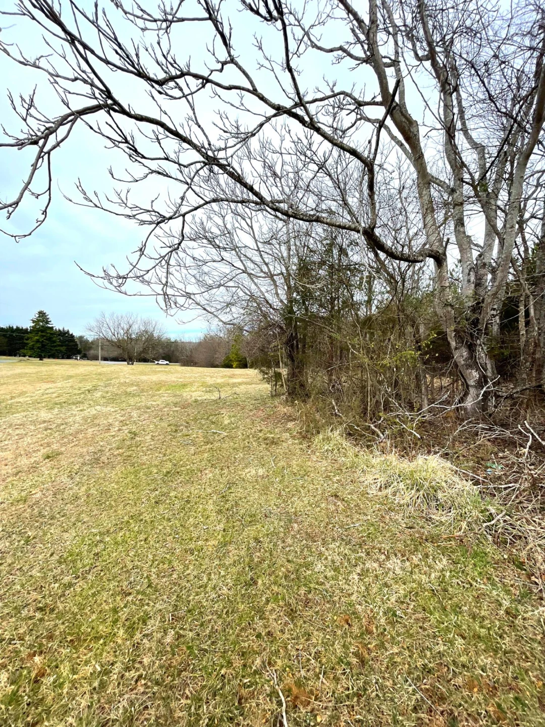 0 Moneta RD - Photo 2