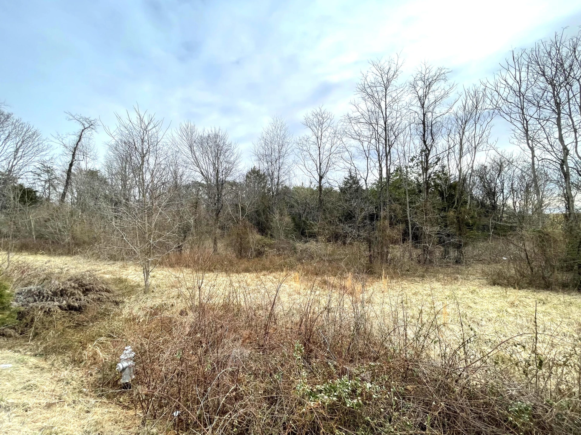 0 Moneta RD - Photo 4