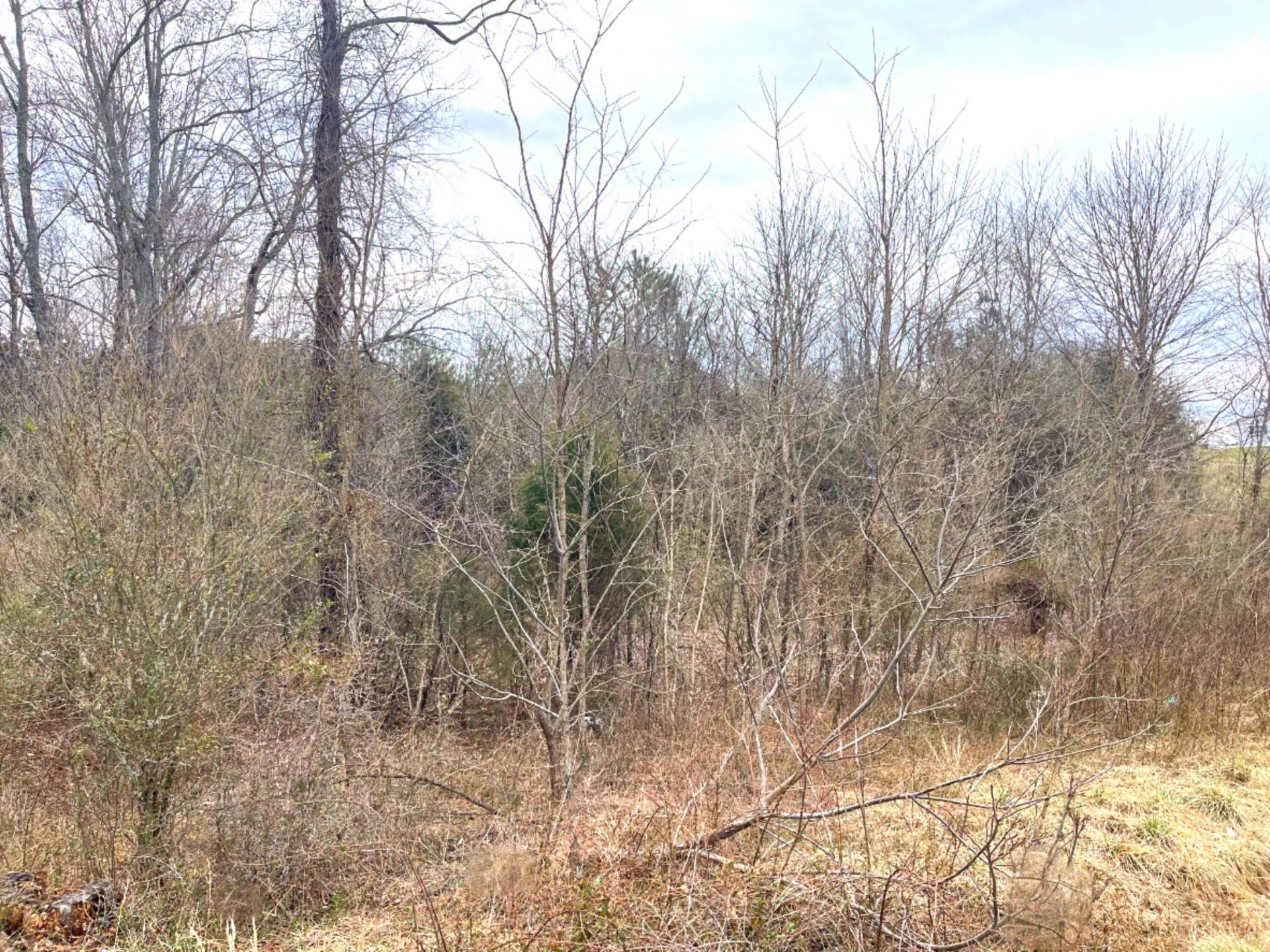 0 Moneta RD - Photo 5