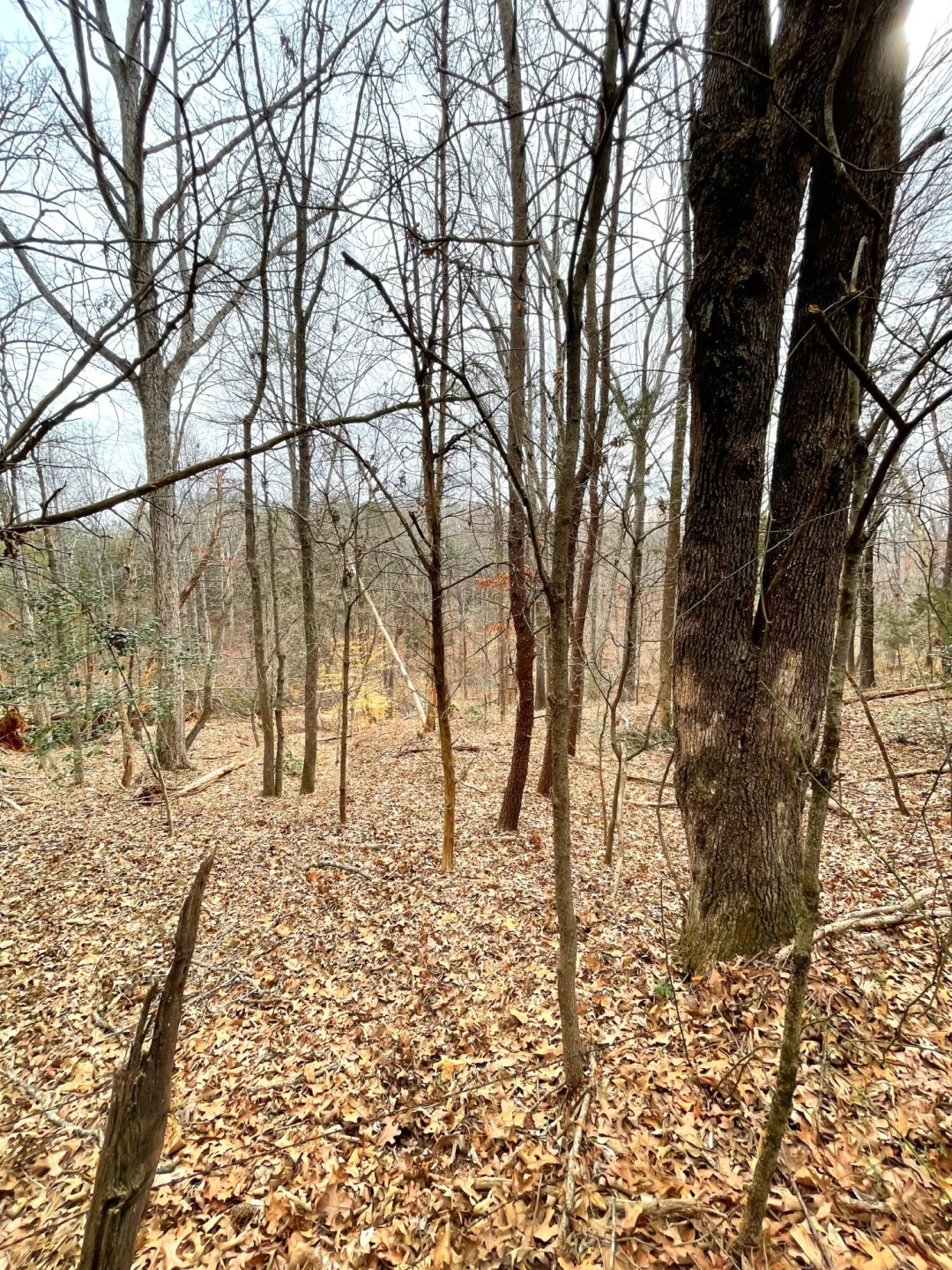 0 Moneta RD - Photo 6