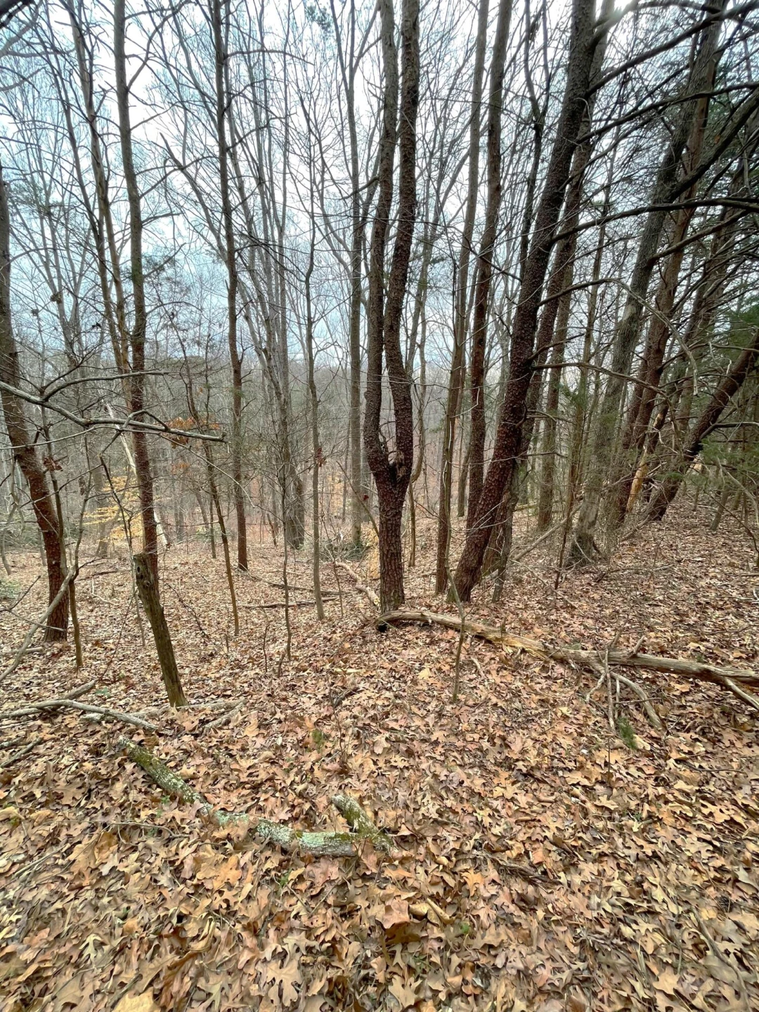 0 Moneta RD - Photo 7