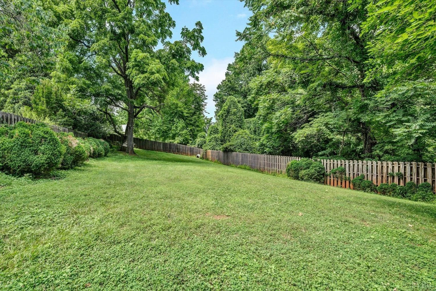 846 College ST - Photo 38