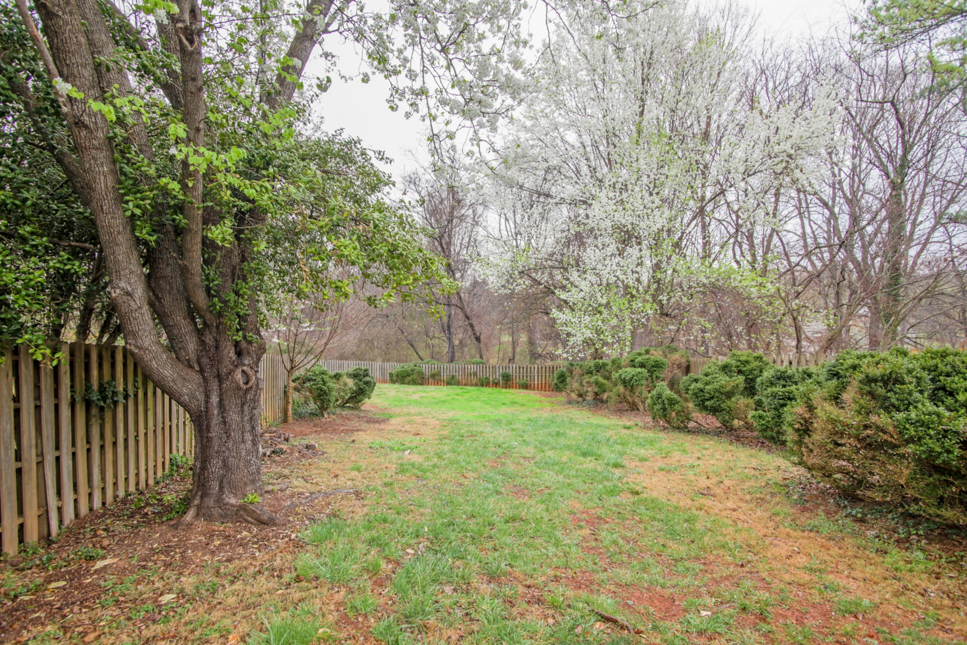 846 College ST - Photo 63