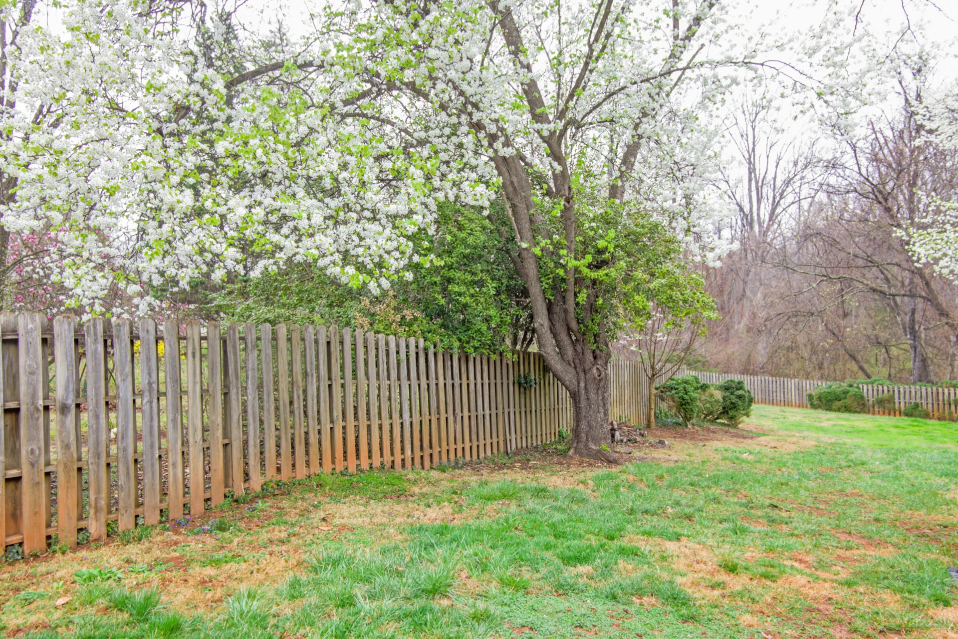 846 College ST - Photo 70