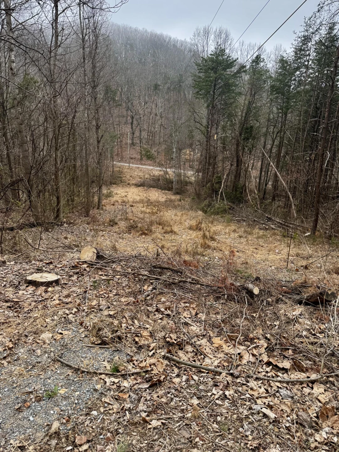 0 Orange LN - Photo 5