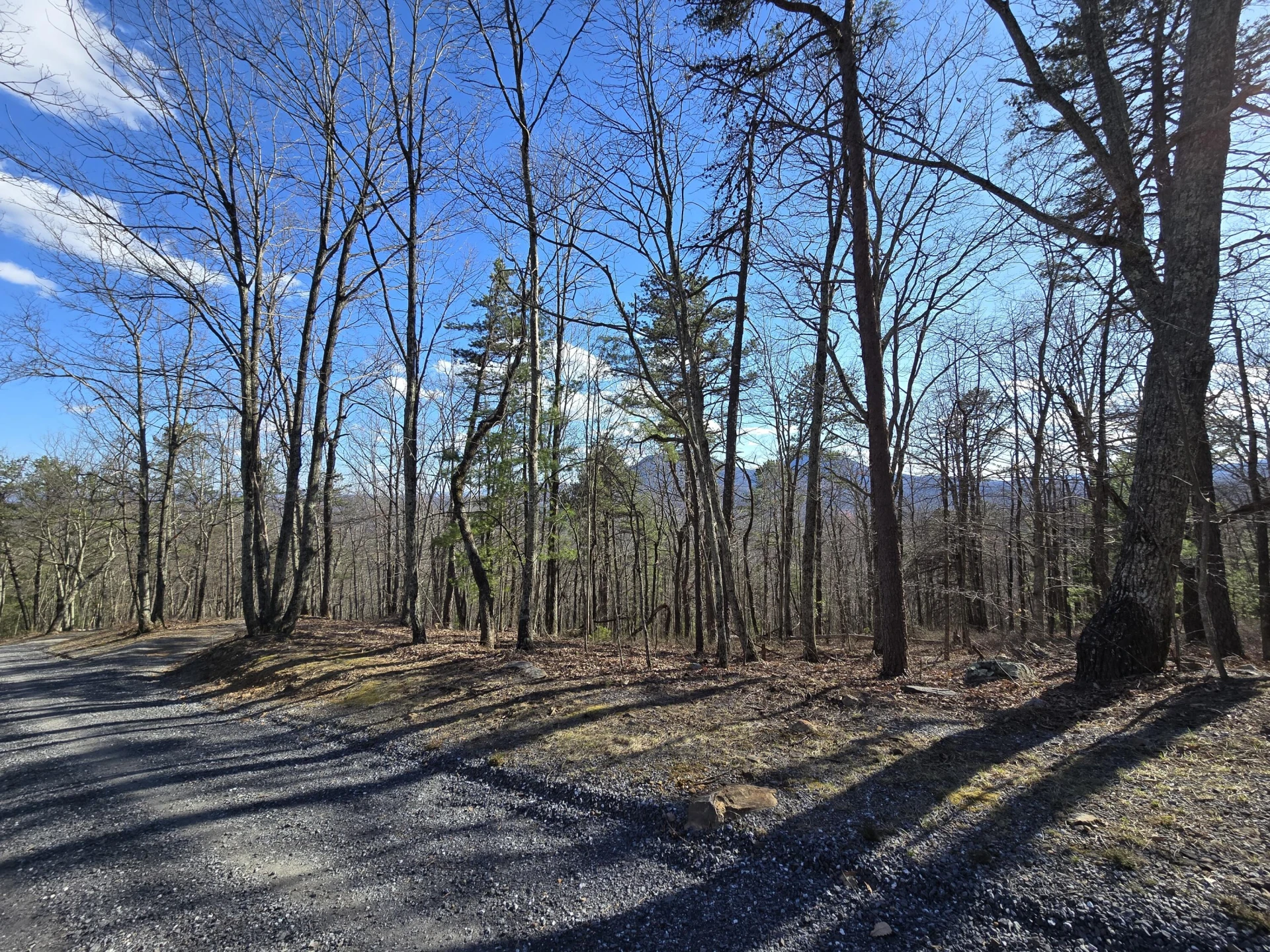 Lot 14 Wenlock DR - Photo 11