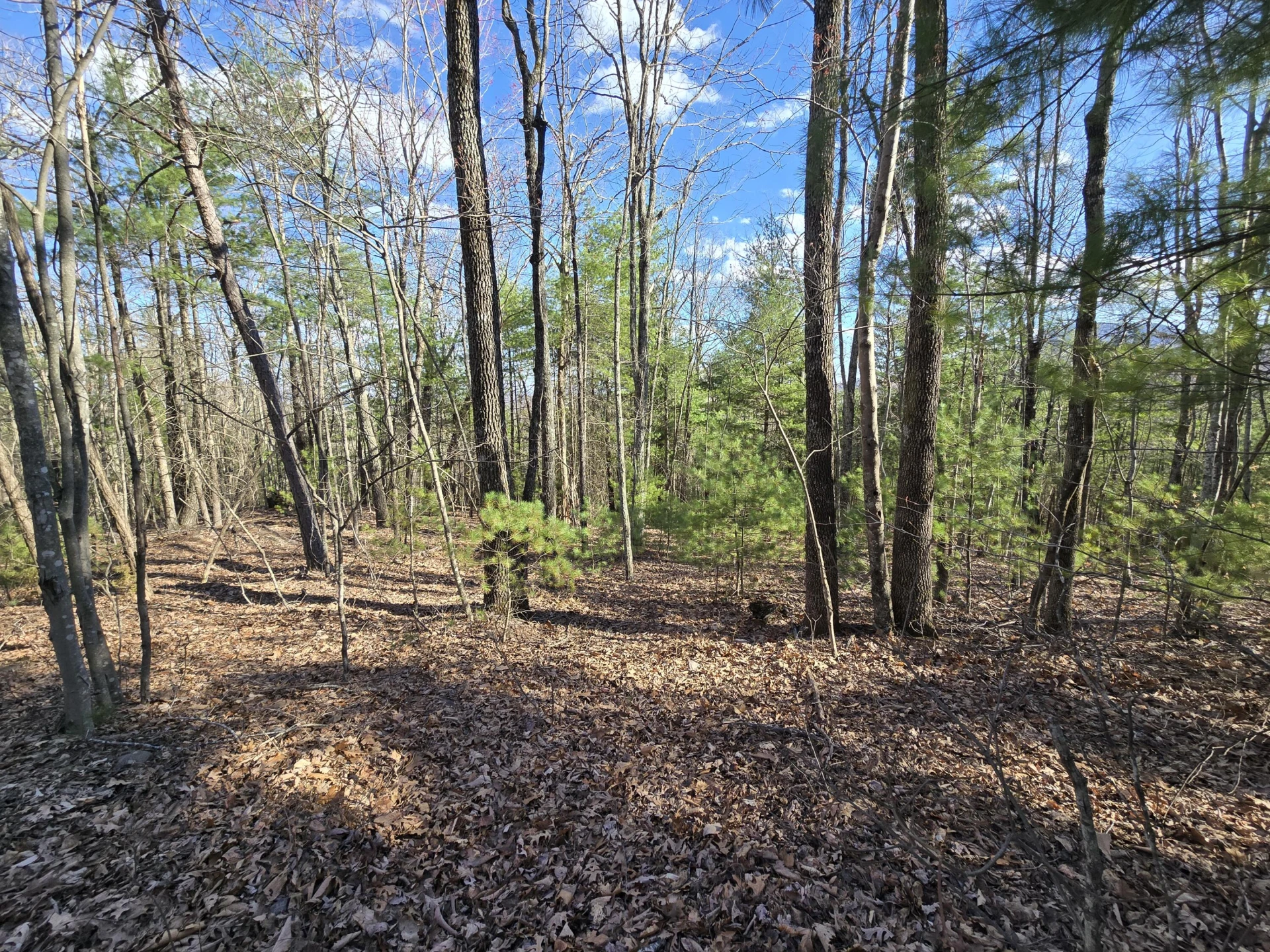 Lot 14 Wenlock DR - Photo 15