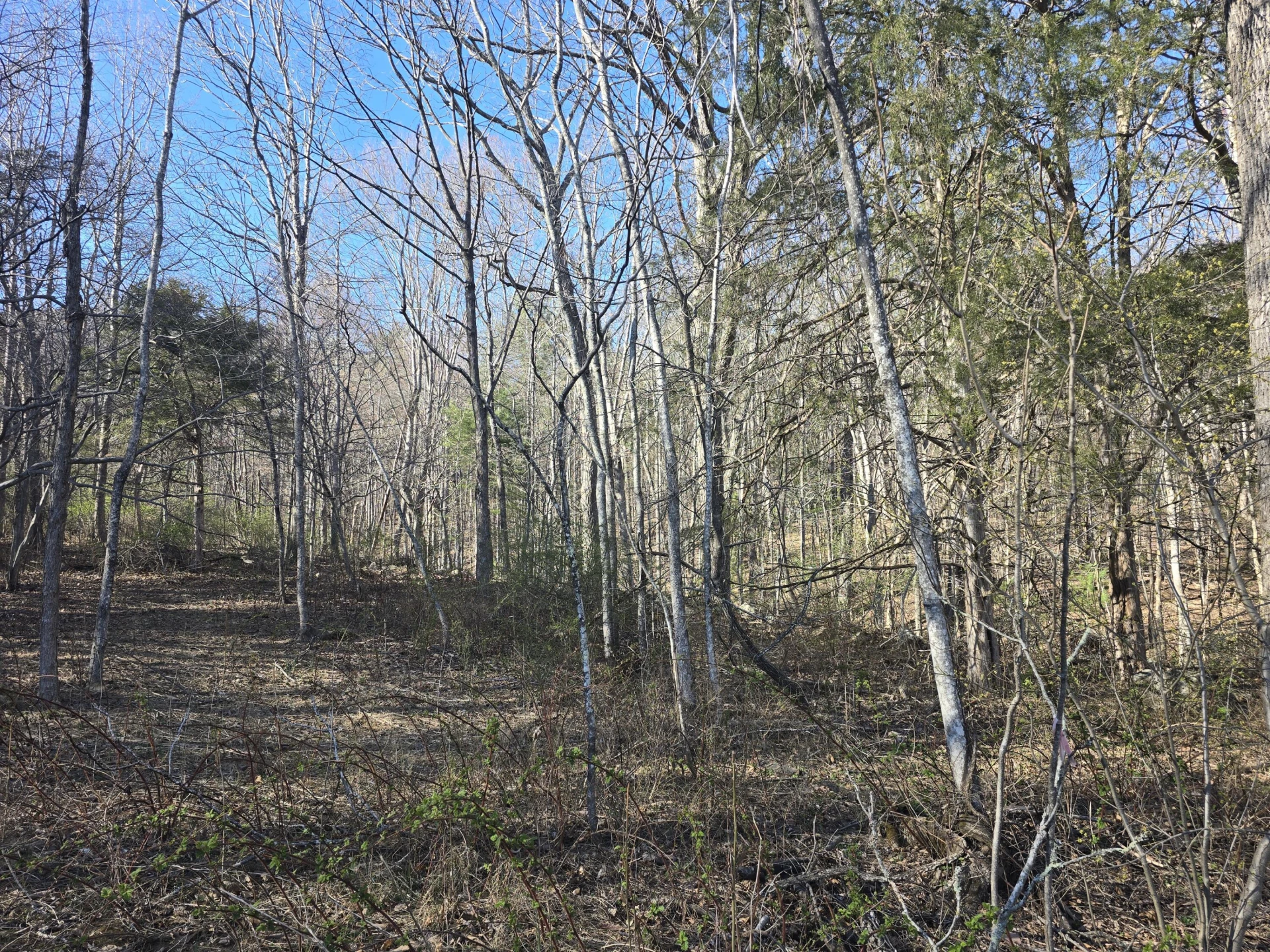 Lot 14 Wenlock DR - Photo 7