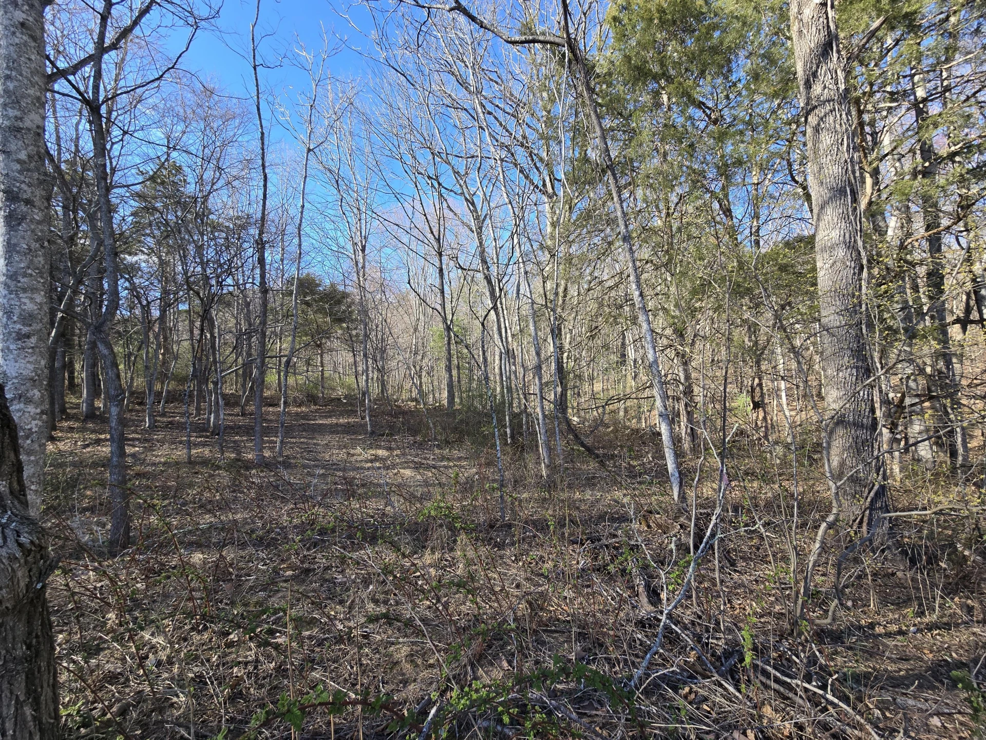 Lot 14 Wenlock DR - Photo 8