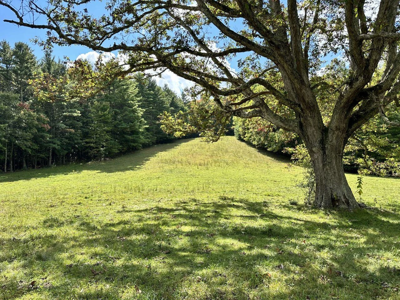 0 Kates Mountain RD - Photo 10