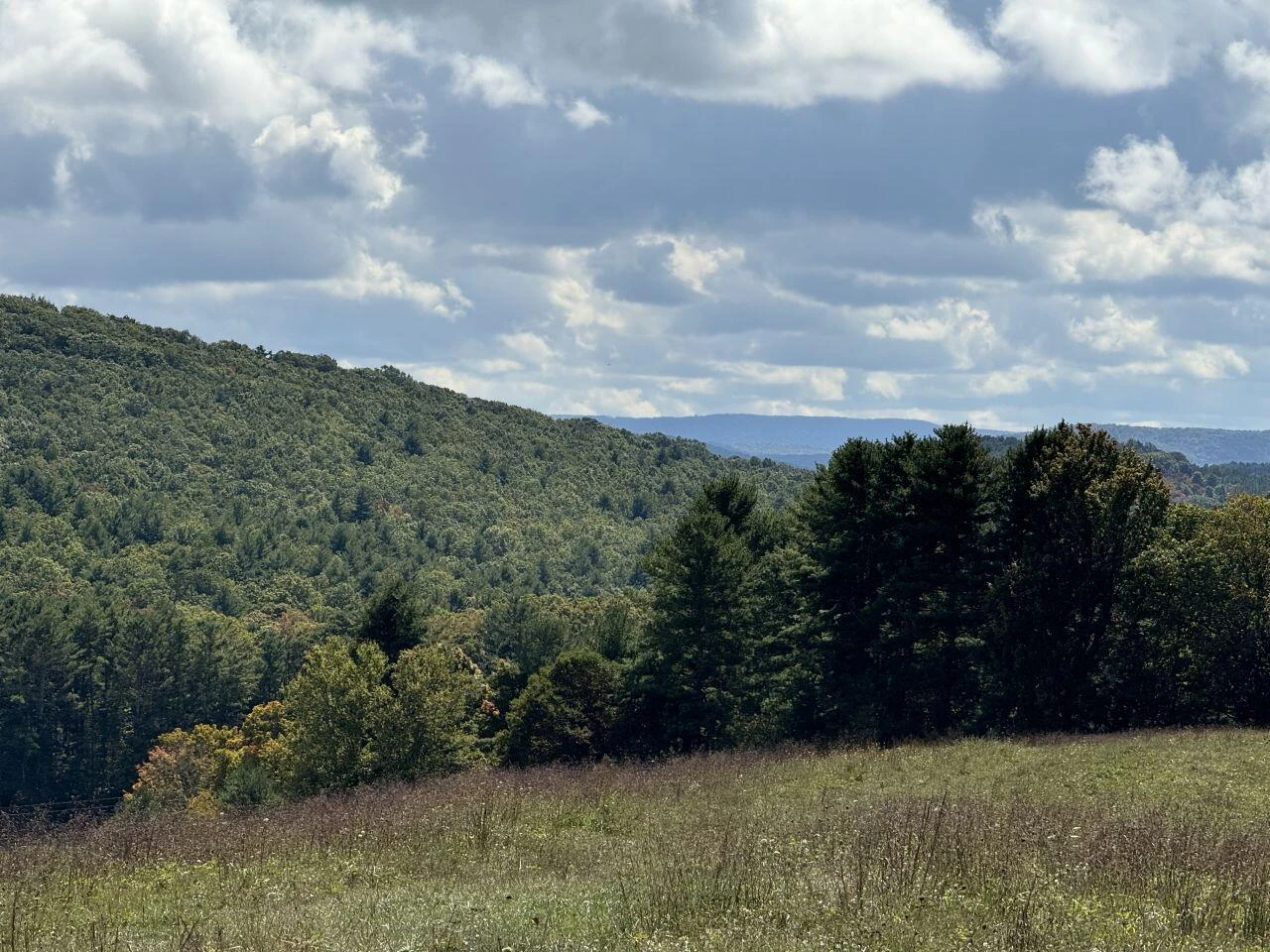0 Kates Mountain RD - Photo 14