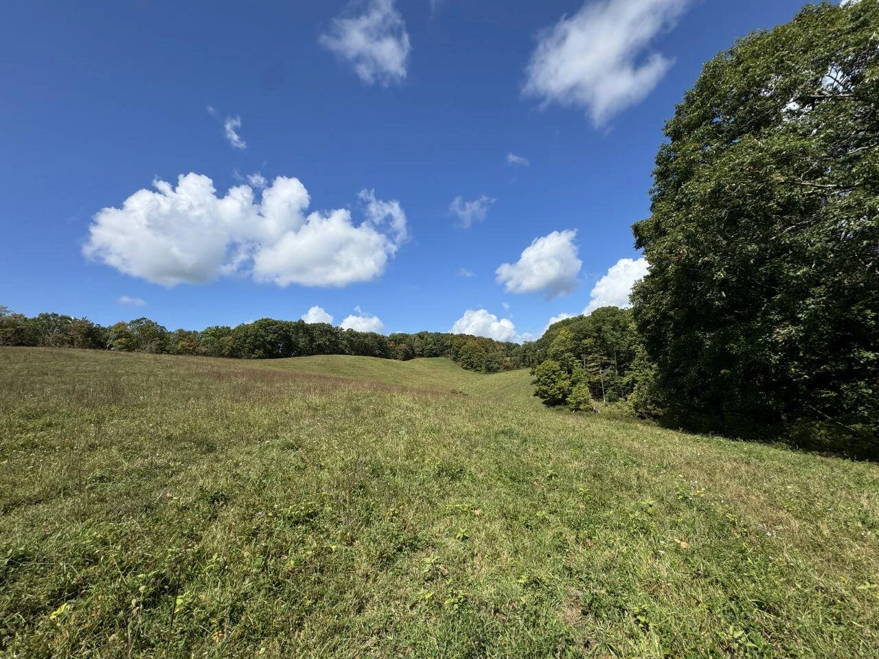 0 Kates Mountain RD - Photo 15