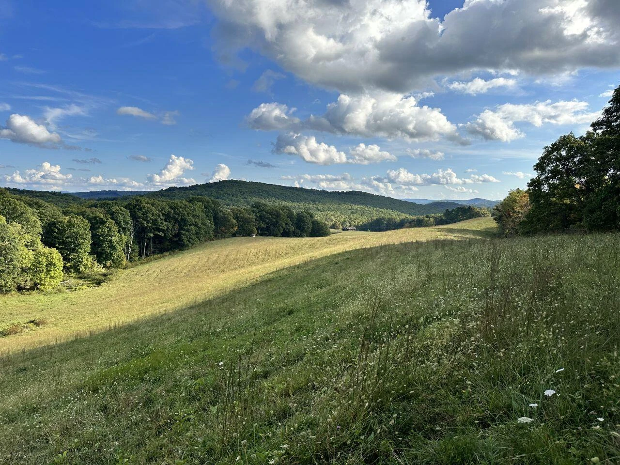 0 Kates Mountain RD - Photo 8