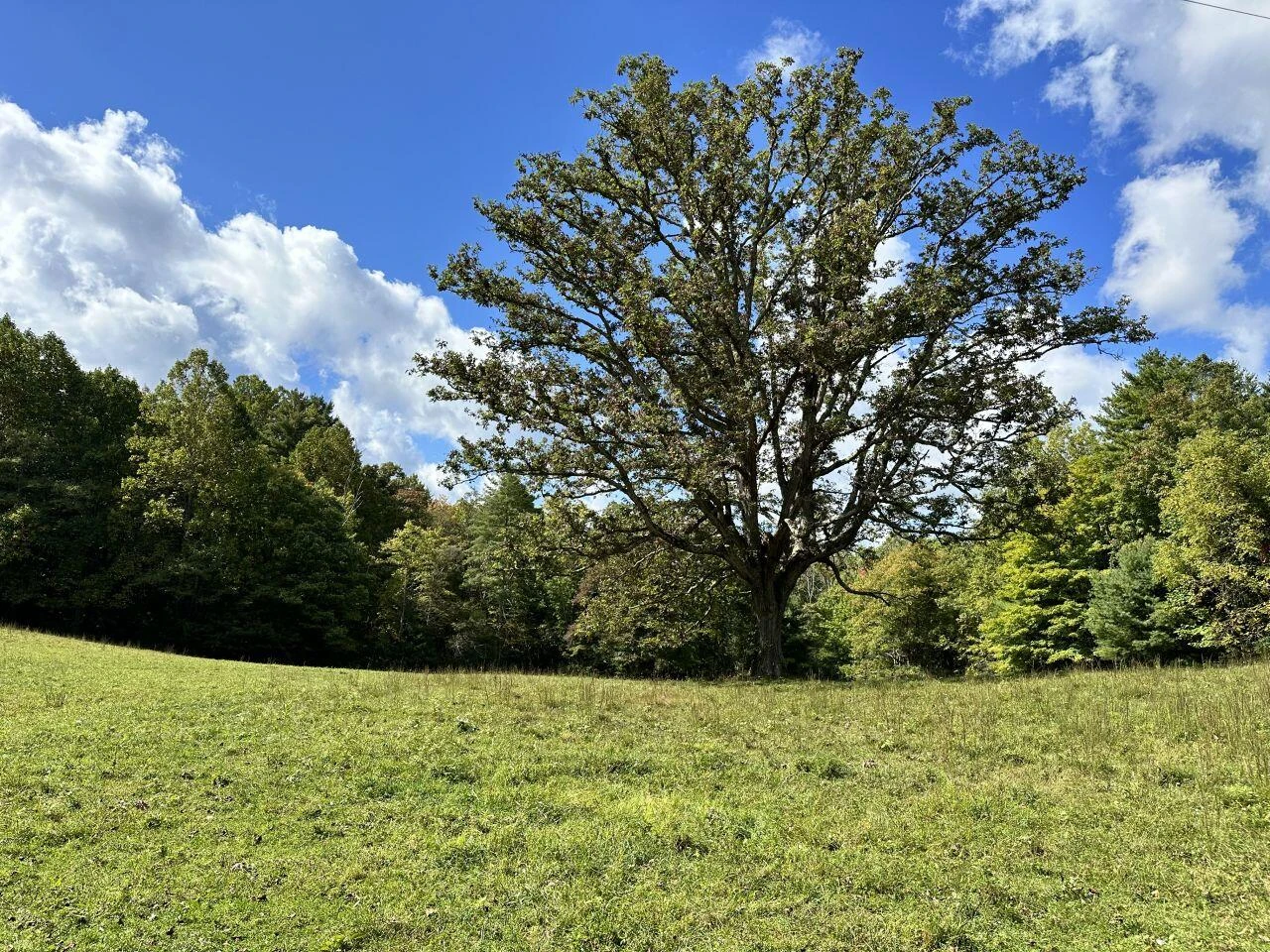 0 Kates Mountain RD - Photo 9