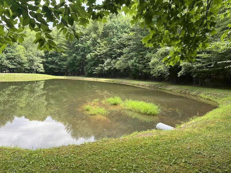 0 Music RD NW - Photo 10