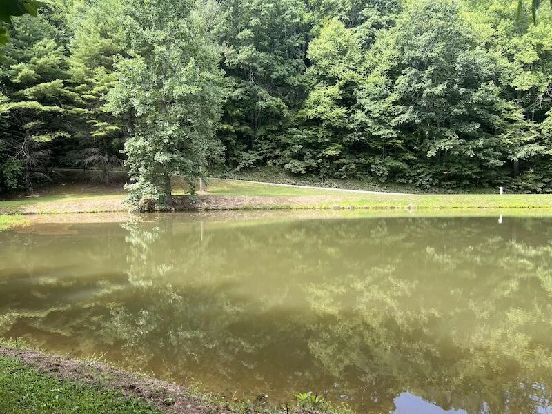 0 Music RD NW - Photo 14