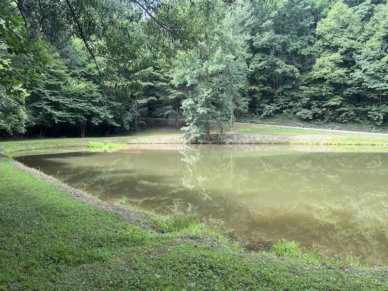0 Music RD NW - Photo 15
