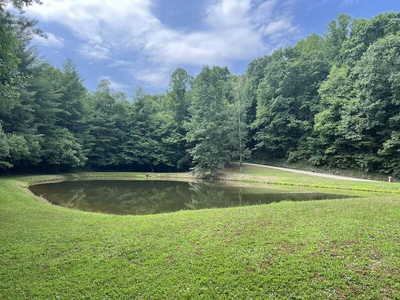 0 Music RD NW - Photo 16