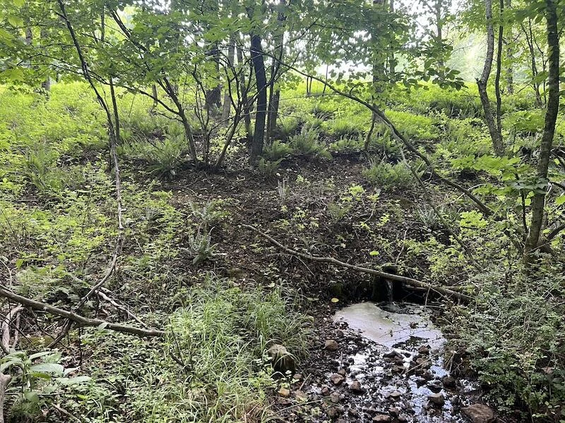0 Music RD NW - Photo 22