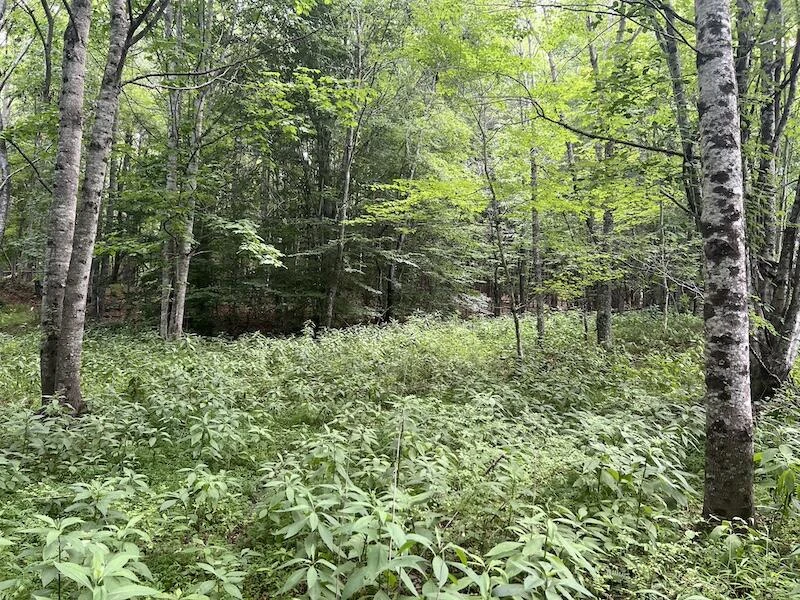 0 Music RD NW - Photo 23