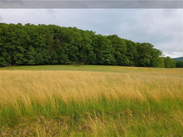 Lot 55 Cahill LN