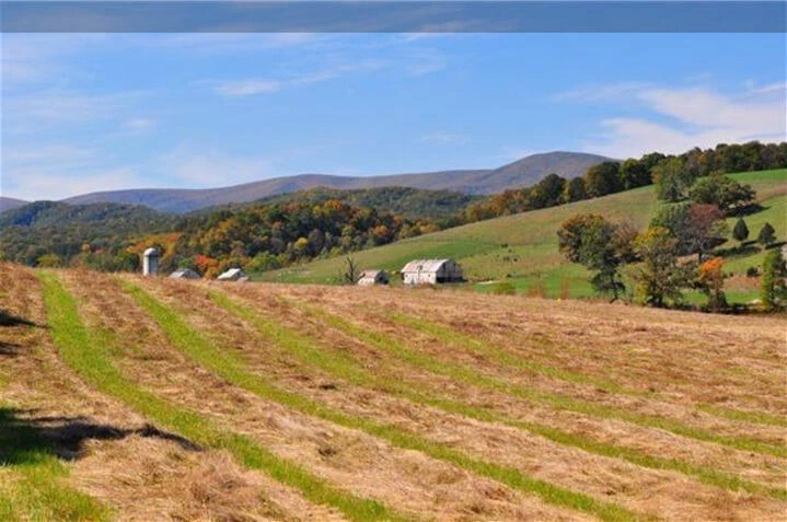 Lot 55 Cahill LN - Photo 2