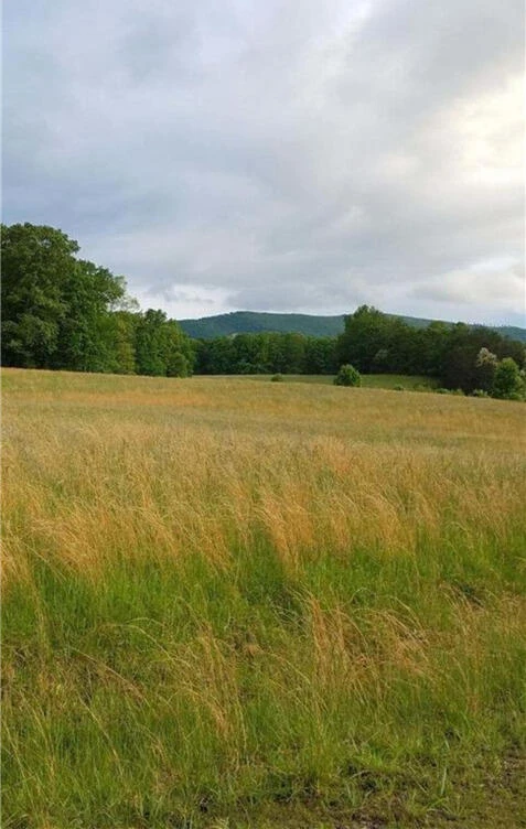 Lot 55 Cahill LN - Photo 3