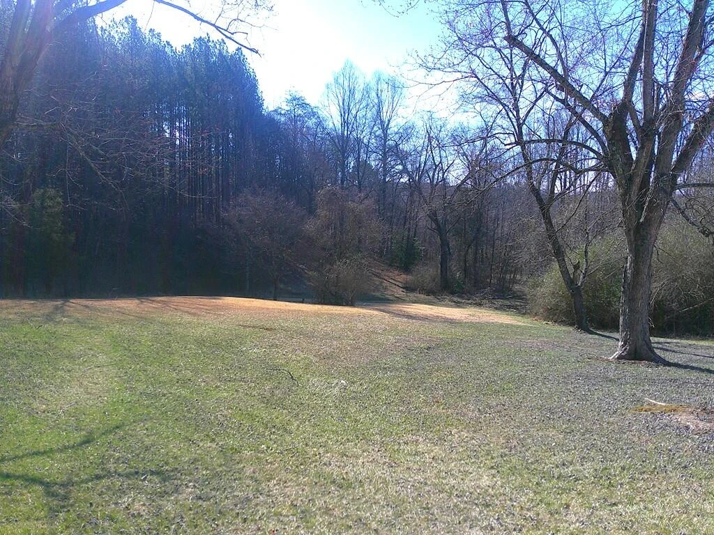 1042 Barrows Mill RD - Photo 4