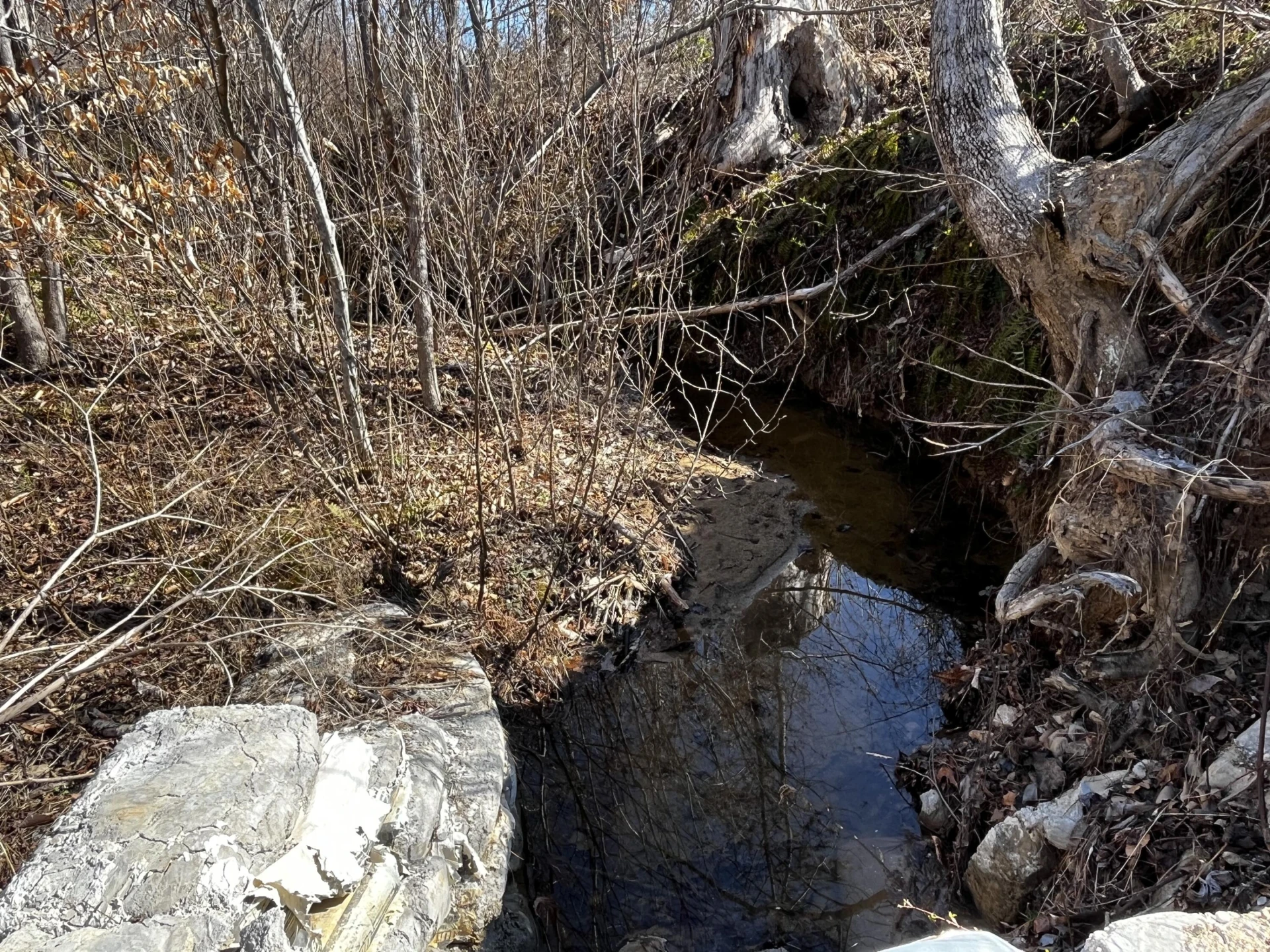 1151 Hubbard RD - Photo 4