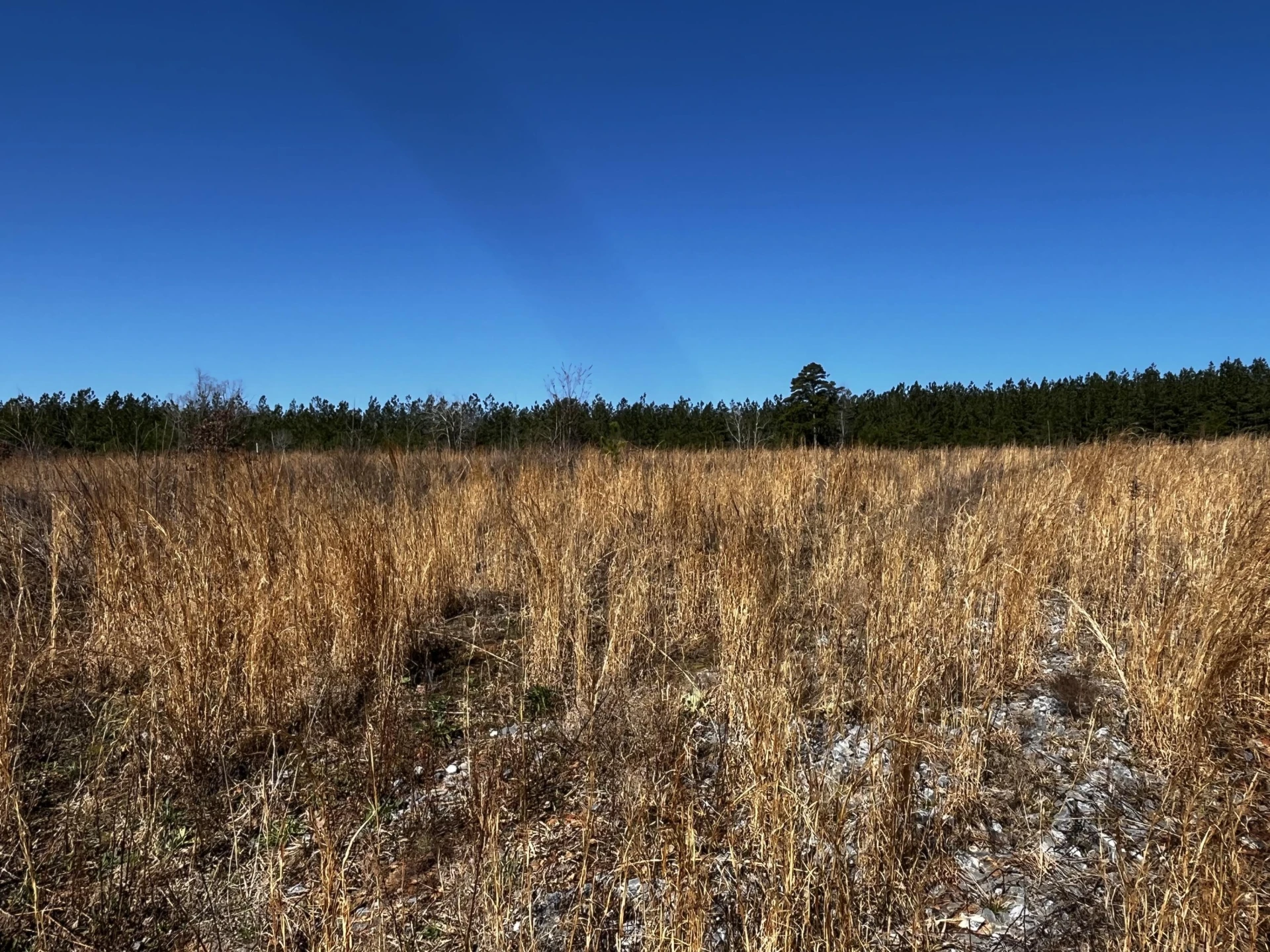 1151 Hubbard RD - Photo 5