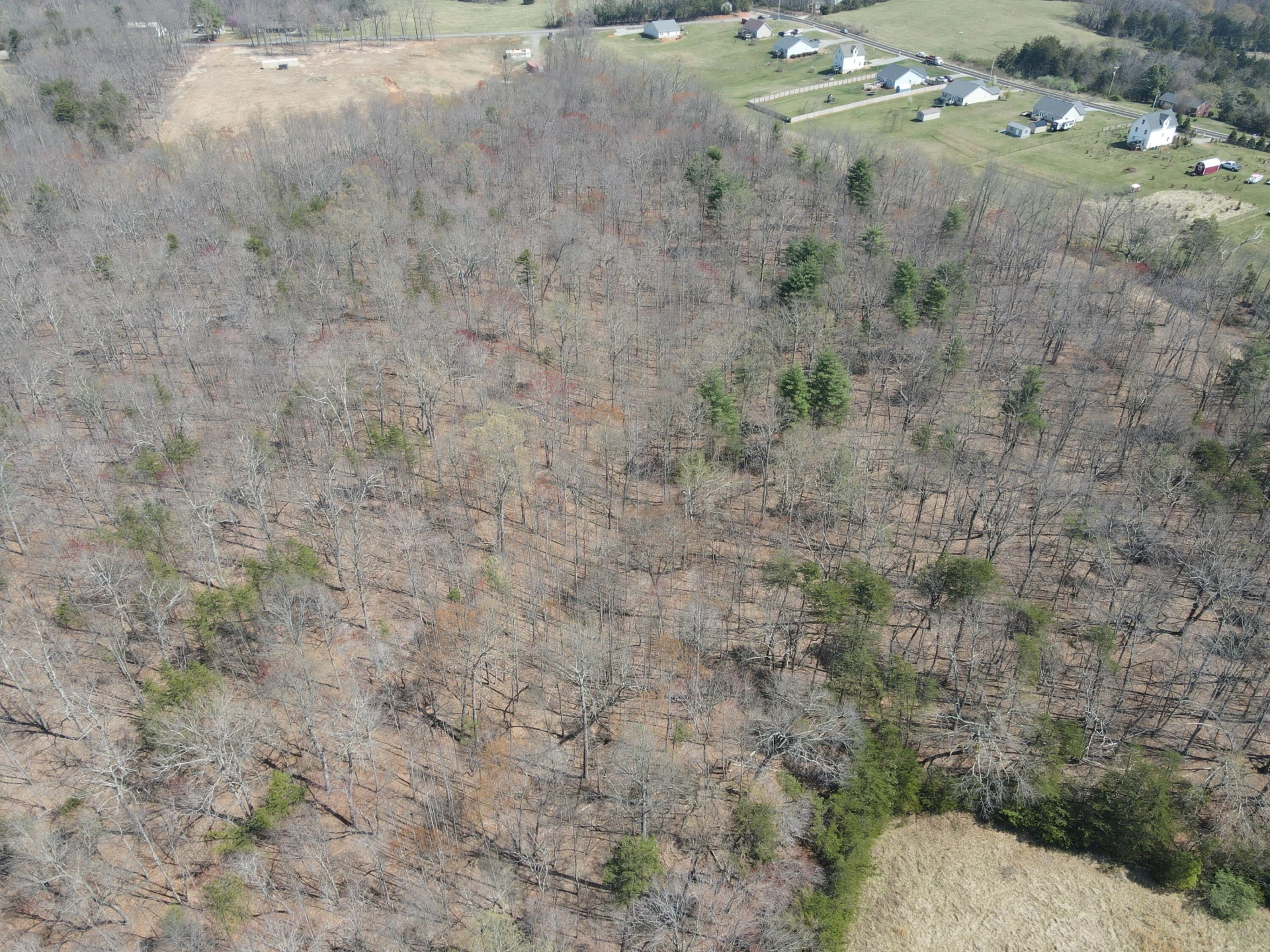 LOT 21-A&B Standiford RD - Photo 10