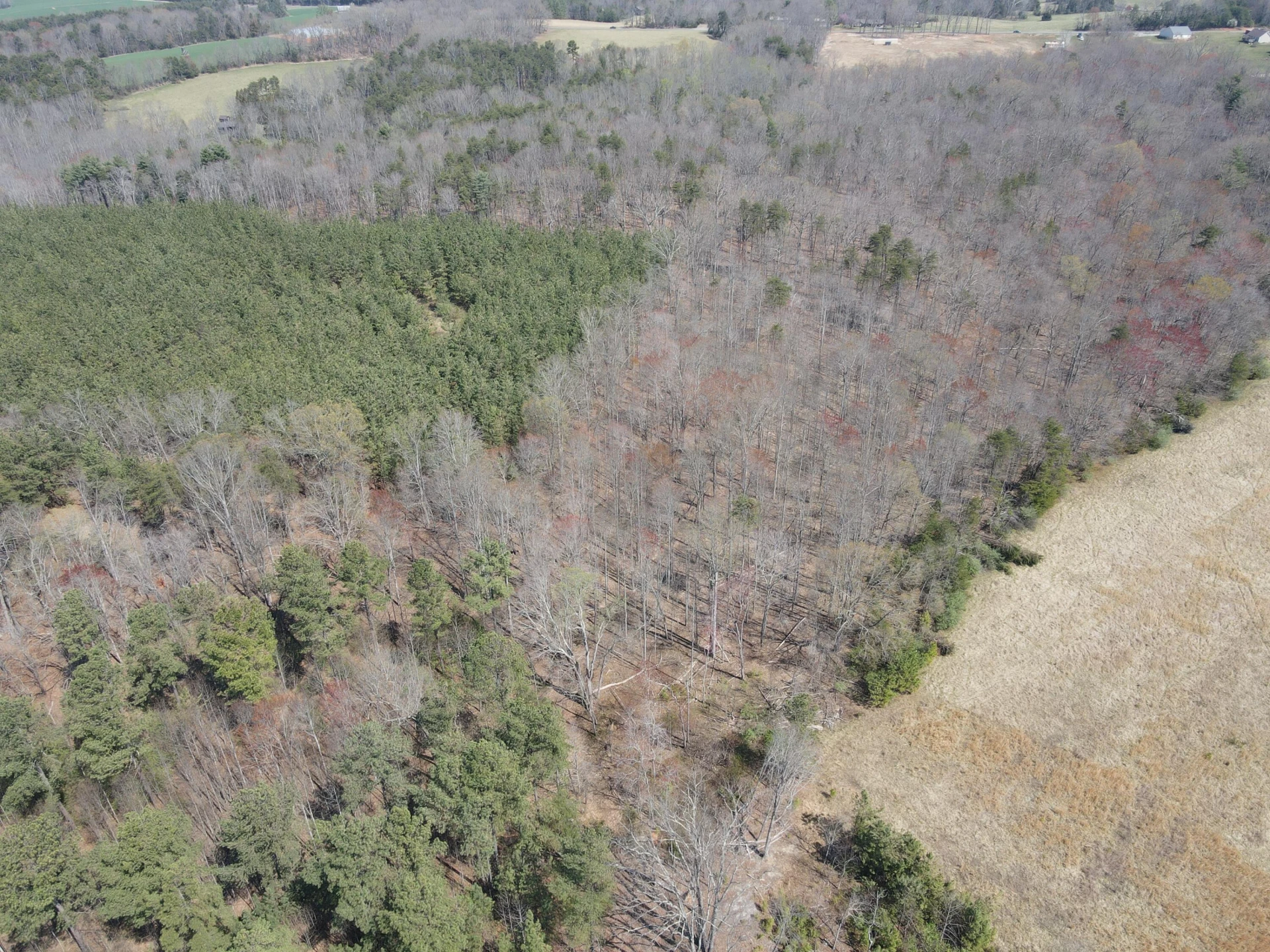 LOT 21-A&B Standiford RD - Photo 11