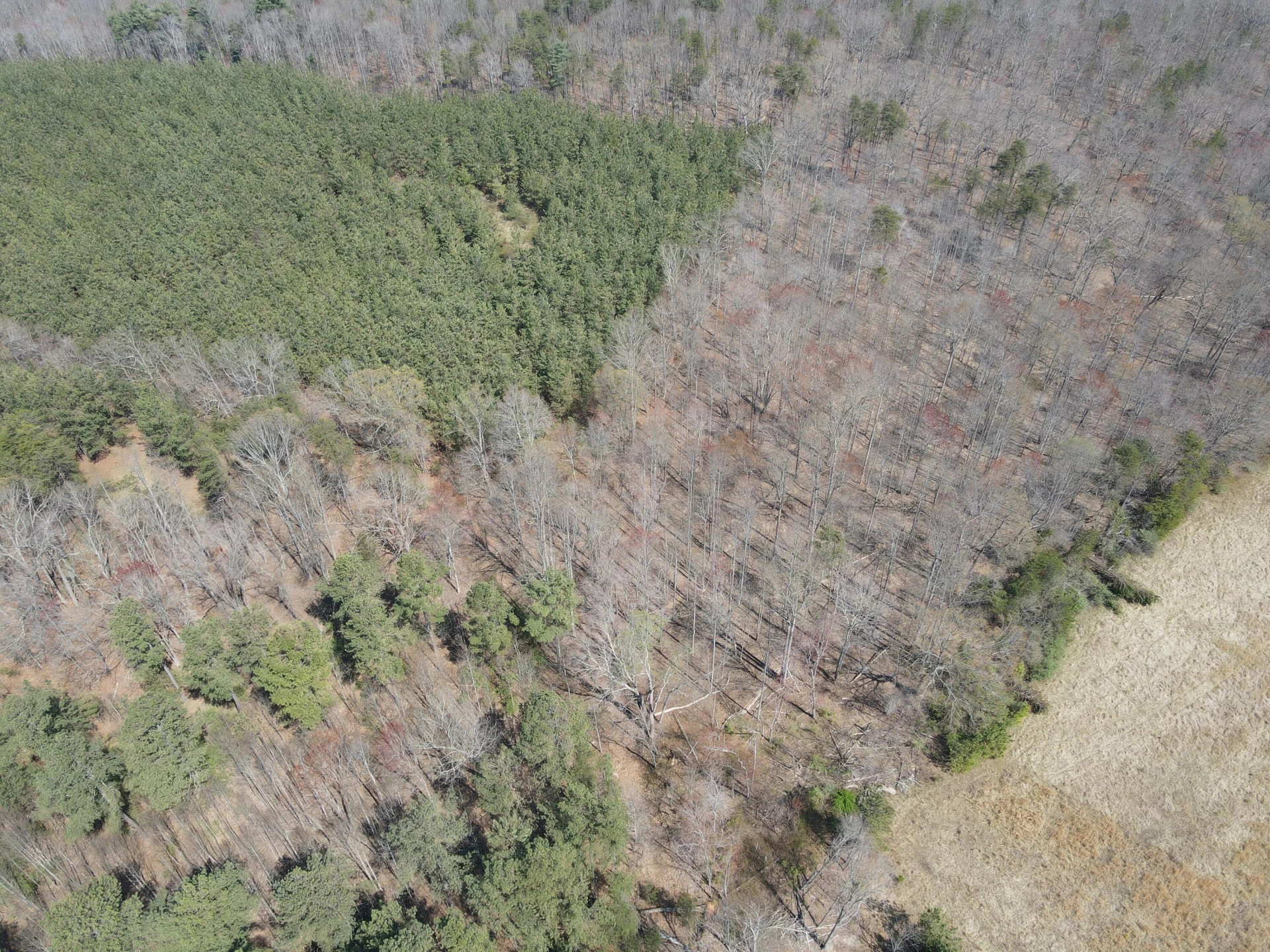 LOT 21-A&B Standiford RD - Photo 12