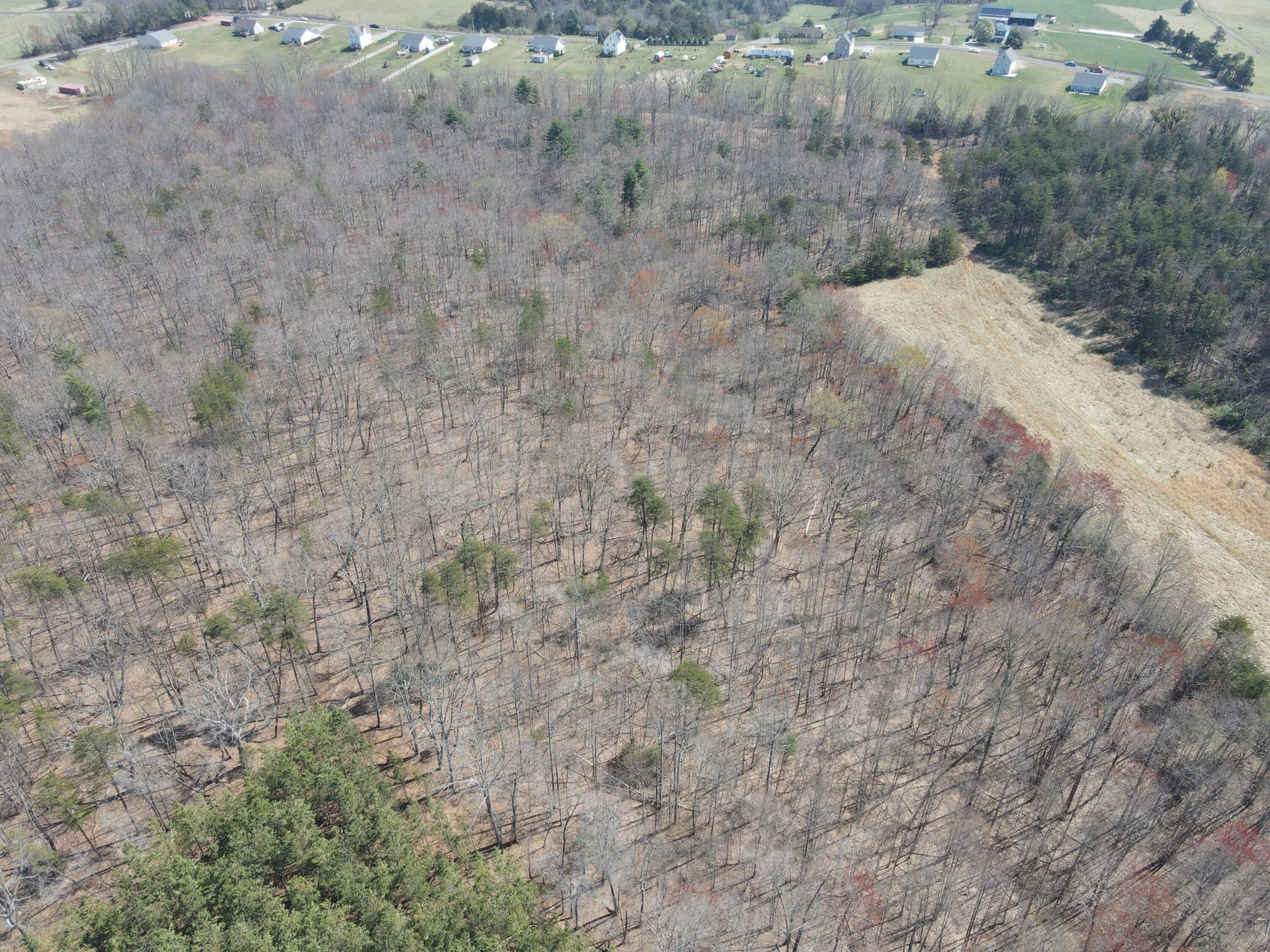 LOT 21-A&B Standiford RD - Photo 14