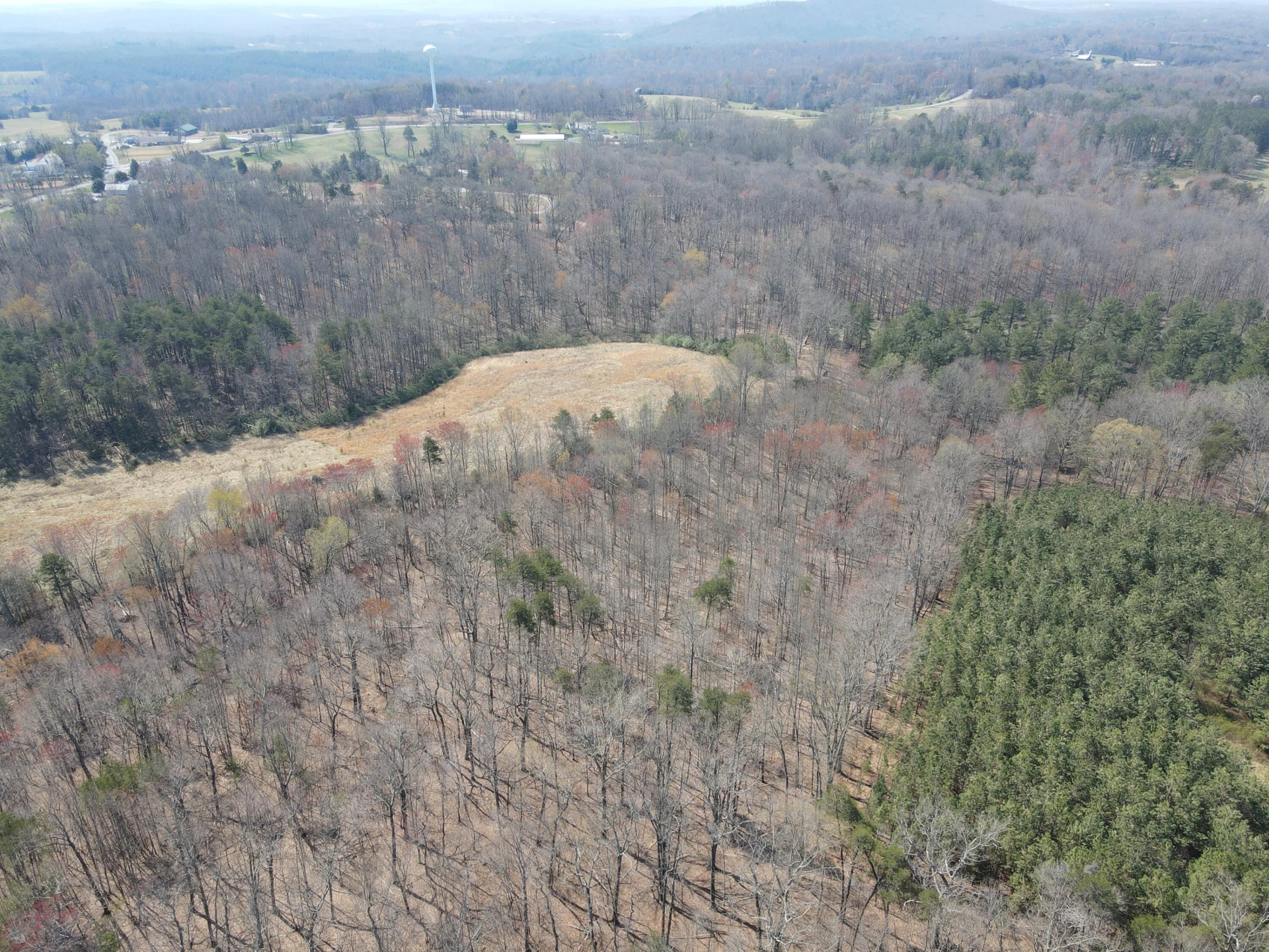LOT 21-A&B Standiford RD - Photo 2