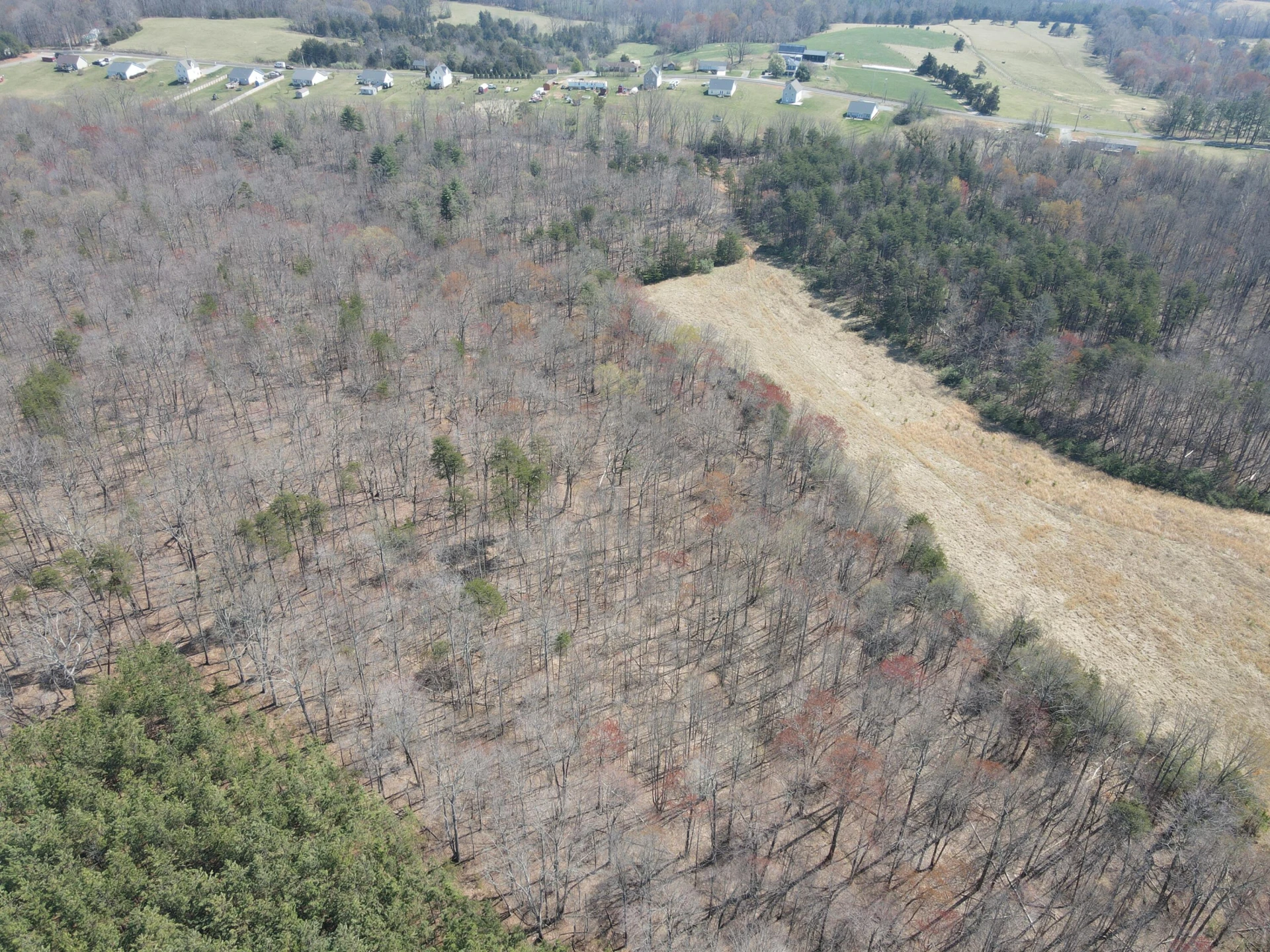 LOT 21-A&B Standiford RD - Photo 22