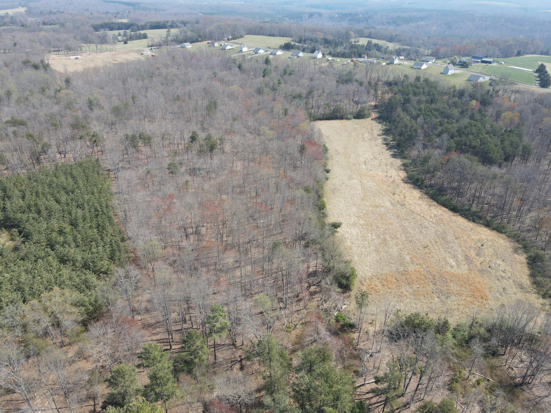 LOT 21-A&B Standiford RD - Photo 3