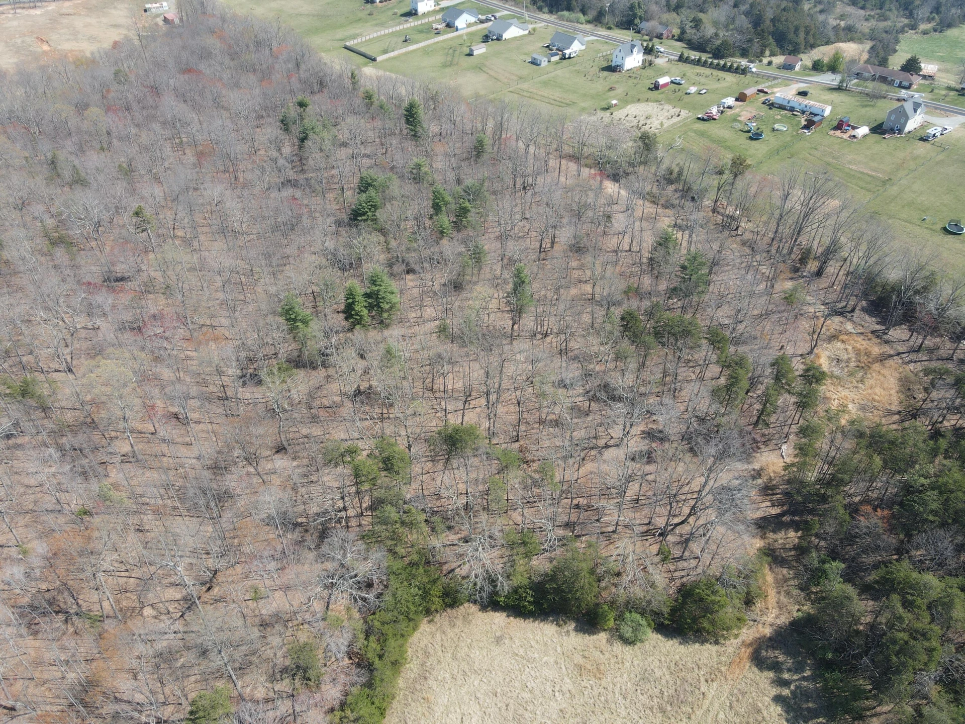 LOT 21-A&B Standiford RD - Photo 4