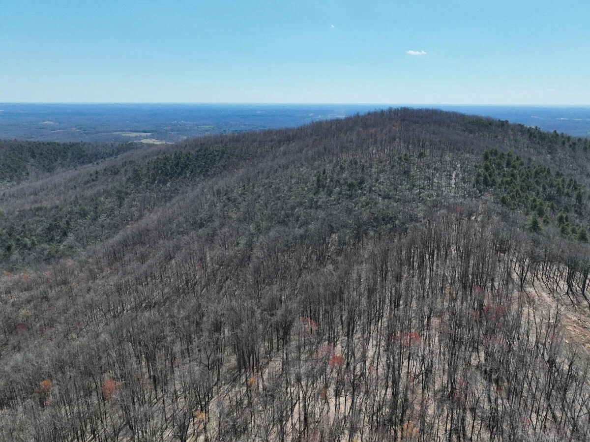 0 Blueberry LN - Photo 10